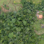 Boguis Land Parcel 504