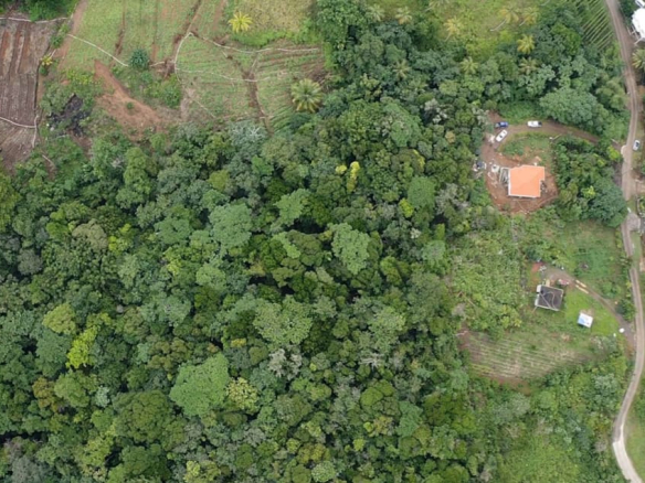 Boguis Land Parcel 504