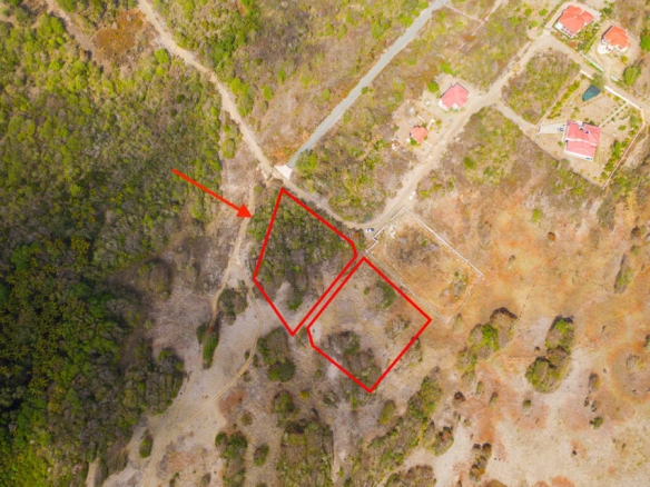 Canelles Land for Sale #110