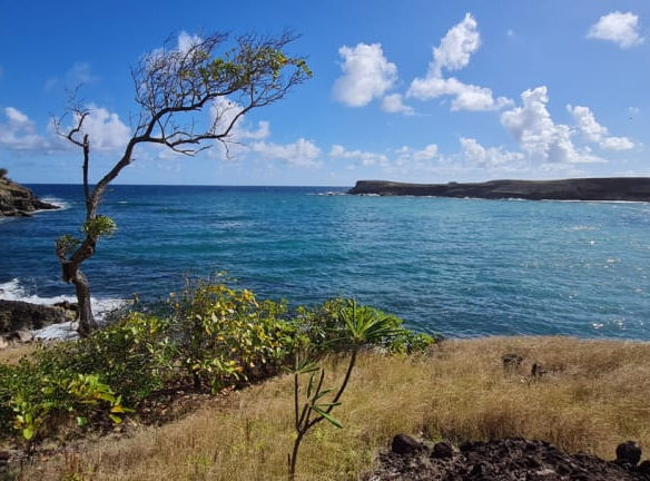 lay beach land canelles st lucia