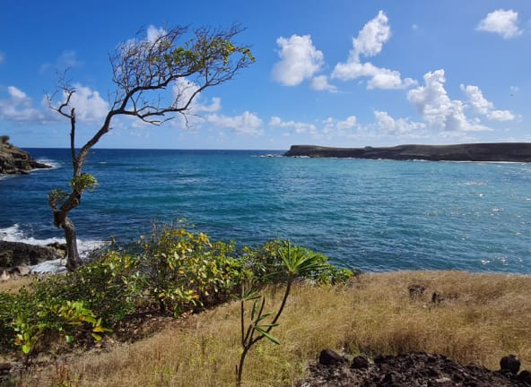 lay beach land canelles st lucia