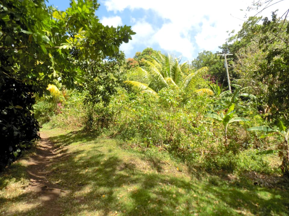 caribbean real estate piton land