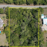 Saddle Back Land No 31