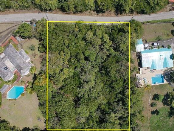 Saddle Back Land No 31