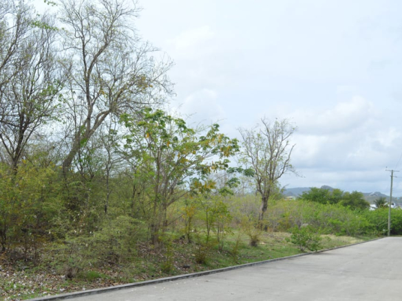 Concept Holding Lot 5