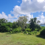 Belle Vue Land No. 123