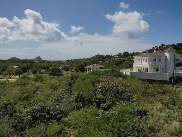 Golf Park Land For Sale #155