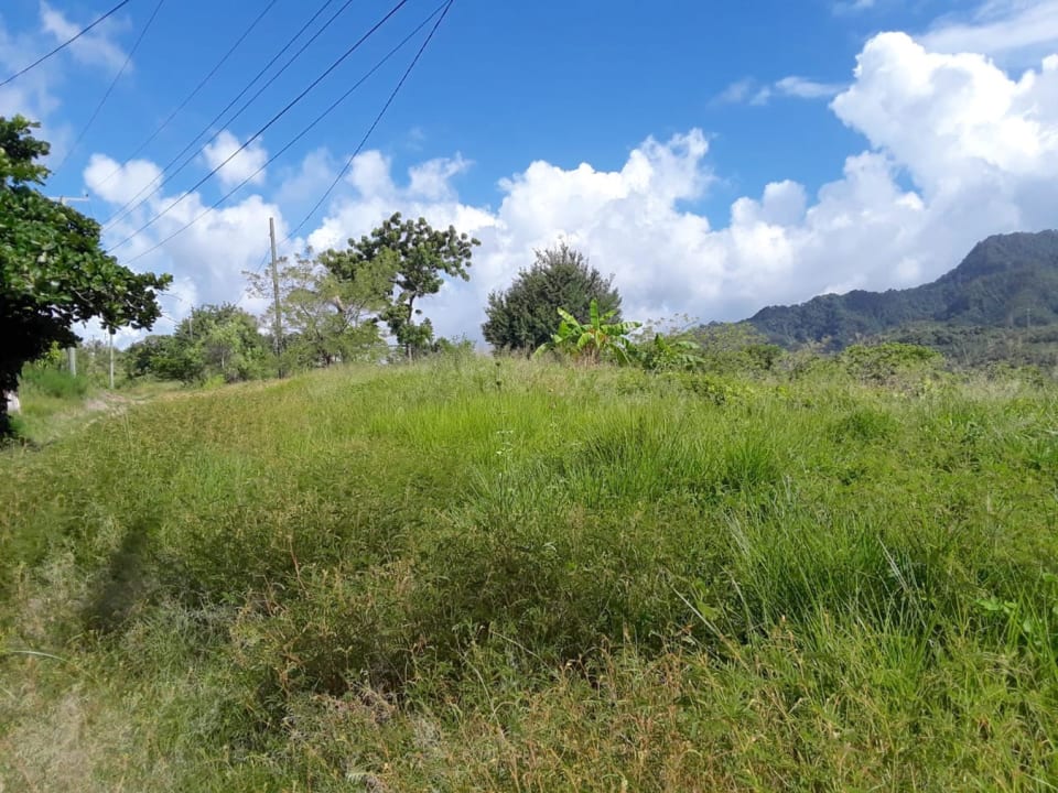 Brigand Hill Land For Sale