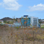 Pope's Site Land No 385