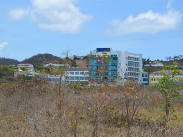 Pope's Site Land No 385