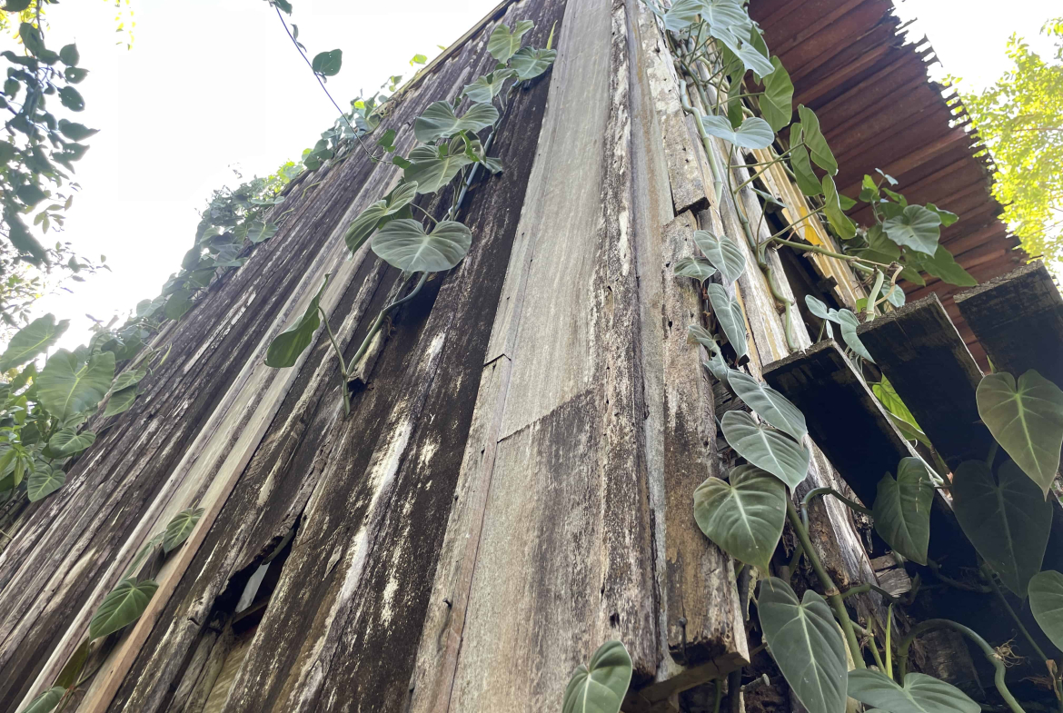 caribbean real estate3