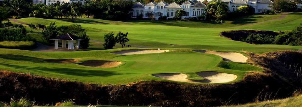 barbados real estate association